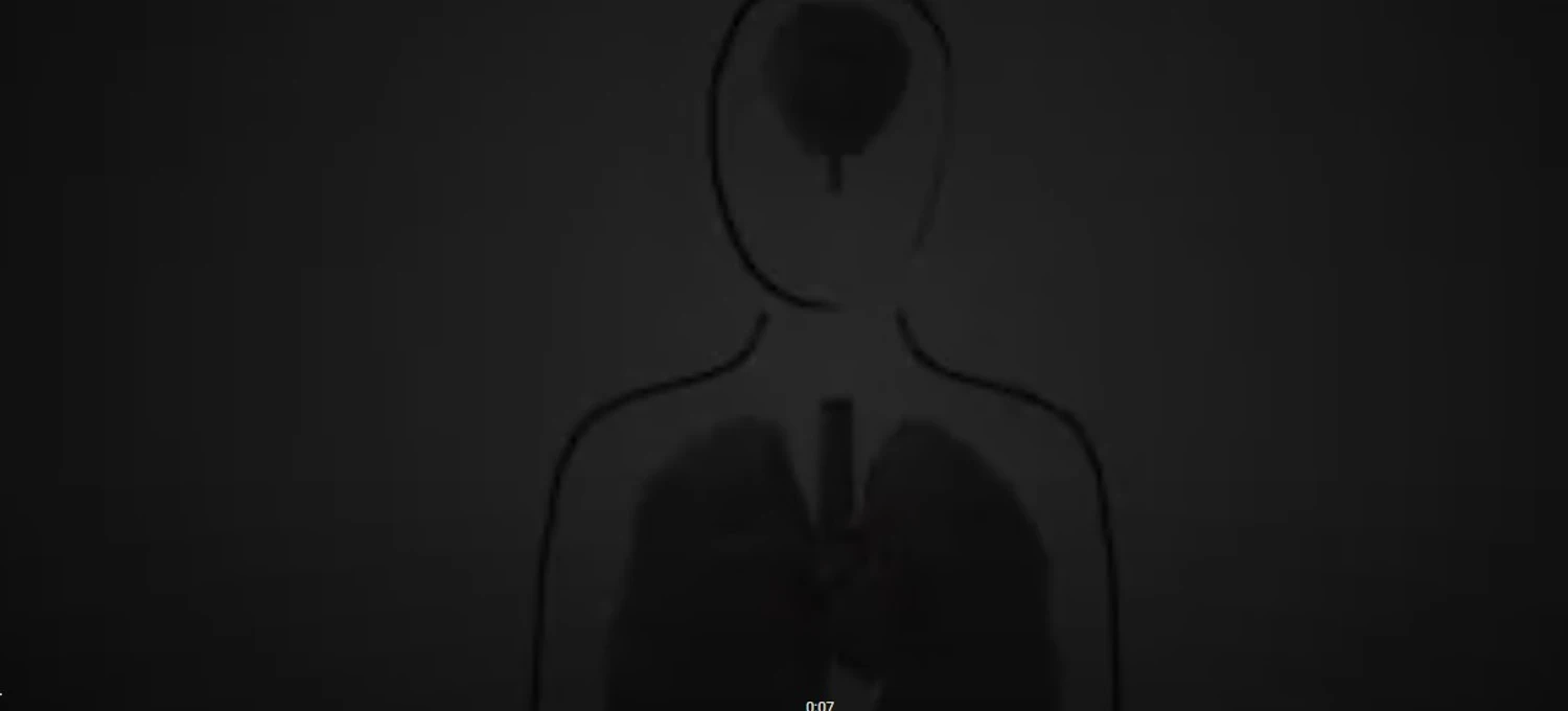 banner image